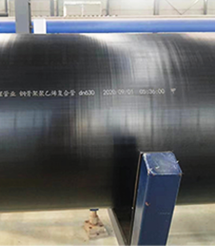 �ֹǼܾ���ϩ���ϸ��Ϲ�